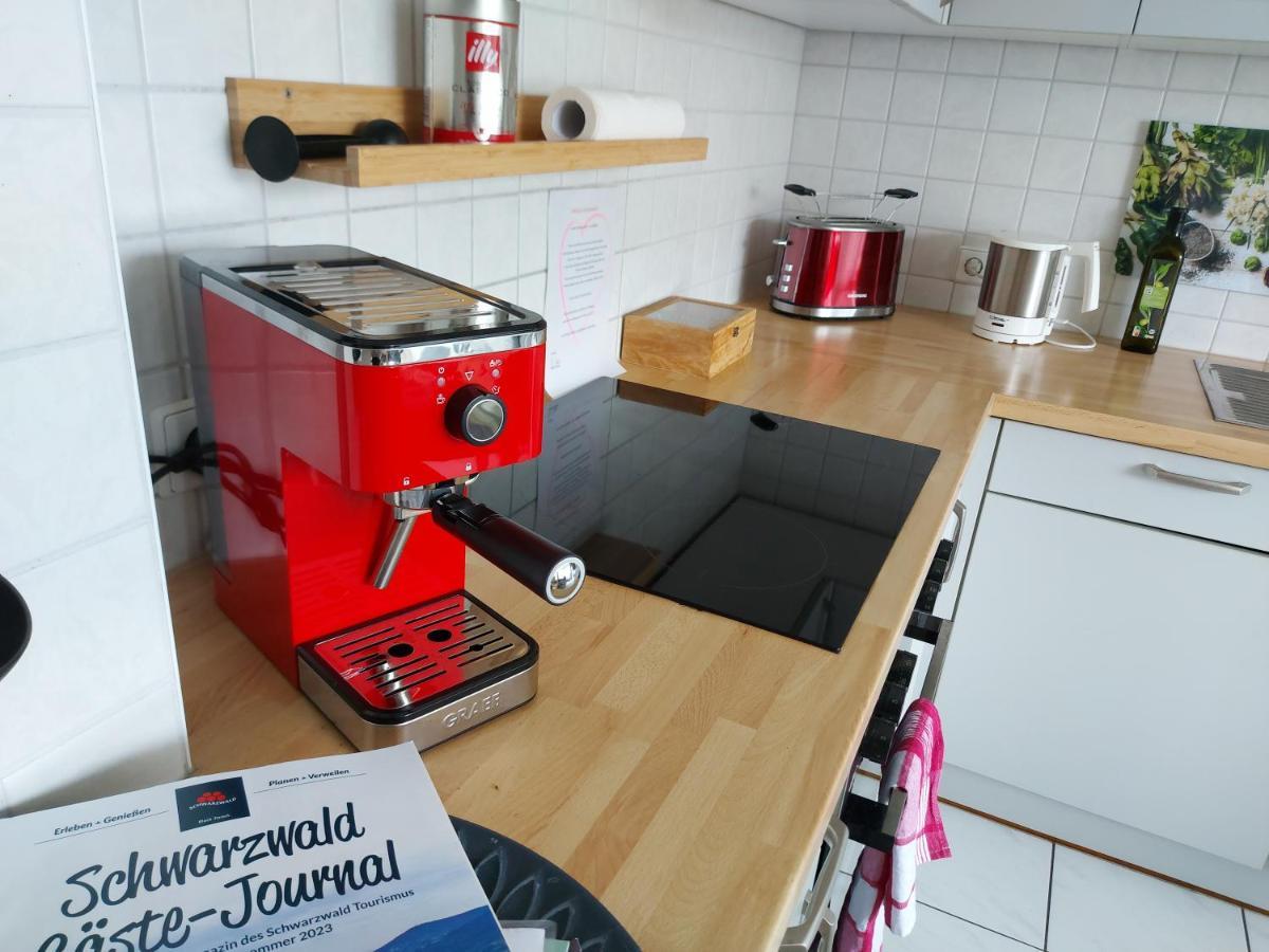 Ruhiges & Zentrales Loft In Loerrach Lejlighed Eksteriør billede